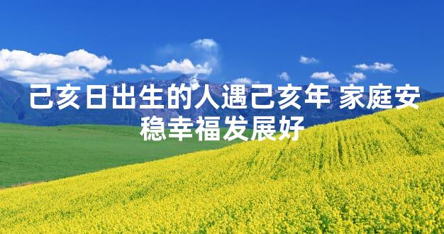 己亥日出生的人遇己亥年 家庭安稳幸福发展好